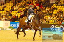 Filename=PT8_2206.JPG
Filesize=585KiB
Dimensions=1229x814
Date added=Mar 15, 2023 PT8_2206.JPG