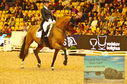 Filename=PT8_2213.JPG
Filesize=571KiB
Dimensions=1229x814
Date added=Mar 15, 2023 PT8_2213.JPG