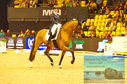 Filename=PT8_2219.JPG
Filesize=486KiB
Dimensions=1229x814
Date added=Mar 15, 2023 PT8_2219.JPG