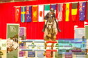 Filename=PT8_2273.JPG
Filesize=560KiB
Dimensions=1229x814
Date added=Mar 15, 2023 PT8_2273.JPG