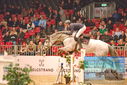 Filename=PT9_0871.JPG
Filesize=431KiB
Dimensions=1224x817
Date added=Mar 08, 2023 PT9_0871.JPG