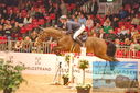 Filename=PT9_0877.JPG
Filesize=421KiB
Dimensions=1224x817
Date added=Mar 08, 2023 PT9_0877.JPG