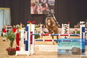 Filename=PT9_0915.JPG
Filesize=435KiB
Dimensions=1224x817
Date added=Mar 08, 2023 PT9_0915.JPG