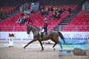 Filename=PT9_1185.JPG
Filesize=459KiB
Dimensions=1224x817
Date added=Mar 10, 2023 PT9_1185.JPG