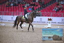 Filename=PT9_1188.JPG
Filesize=498KiB
Dimensions=1224x817
Date added=Mar 10, 2023 PT9_1188.JPG