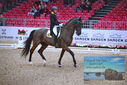 Filename=PT9_1189.JPG
Filesize=500KiB
Dimensions=1224x817
Date added=Mar 10, 2023 PT9_1189.JPG