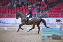 Filename=PT9_1195.JPG
Filesize=433KiB
Dimensions=1224x817
Date added=Mar 10, 2023 PT9_1195.JPG