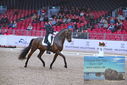 Filename=PT9_1201.JPG
Filesize=450KiB
Dimensions=1224x817
Date added=Mar 10, 2023 PT9_1201.JPG
