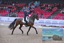 Filename=PT9_1203.JPG
Filesize=502KiB
Dimensions=1224x817
Date added=Mar 10, 2023 PT9_1203.JPG