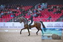 Filename=PT9_1208.JPG
Filesize=491KiB
Dimensions=1224x817
Date added=Mar 10, 2023 PT9_1208.JPG