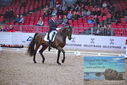 Filename=PT9_1211.JPG
Filesize=519KiB
Dimensions=1224x817
Date added=Mar 10, 2023 PT9_1211.JPG