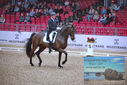 Filename=PT9_1212.JPG
Filesize=516KiB
Dimensions=1224x817
Date added=Mar 10, 2023 PT9_1212.JPG