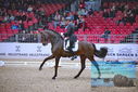 Filename=PT9_1217.JPG
Filesize=479KiB
Dimensions=1224x817
Date added=Mar 10, 2023 PT9_1217.JPG