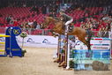 Filename=PT9_1229.JPG
Filesize=468KiB
Dimensions=1224x817
Date added=Mar 10, 2023 PT9_1229.JPG