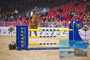 Filename=PT9_1295.JPG
Filesize=502KiB
Dimensions=1224x817
Date added=Mar 10, 2023 PT9_1295.JPG