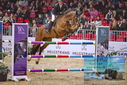 Filename=PT9_1336.JPG
Filesize=443KiB
Dimensions=1224x817
Date added=Mar 10, 2023 PT9_1336.JPG