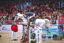 Filename=PT9_1358.JPG
Filesize=443KiB
Dimensions=1224x817
Date added=Mar 10, 2023 PT9_1358.JPG
