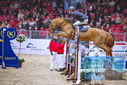 Filename=PT9_1421.JPG
Filesize=429KiB
Dimensions=1224x817
Date added=Mar 10, 2023 PT9_1421.JPG