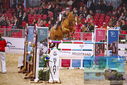 Filename=PT9_1424.JPG
Filesize=487KiB
Dimensions=1224x817
Date added=Mar 10, 2023 PT9_1424.JPG