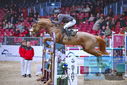 Filename=PT9_1442.JPG
Filesize=418KiB
Dimensions=1224x817
Date added=Mar 10, 2023 PT9_1442.JPG