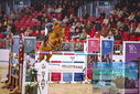 Filename=PT9_1485.JPG
Filesize=503KiB
Dimensions=1224x817
Date added=Mar 10, 2023 PT9_1485.JPG