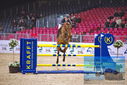 Filename=PT9_1495.JPG
Filesize=500KiB
Dimensions=1224x817
Date added=Mar 10, 2023 PT9_1495.JPG