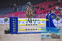 Filename=PT9_1599.JPG
Filesize=495KiB
Dimensions=1224x817
Date added=Mar 10, 2023 PT9_1599.JPG