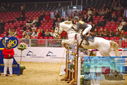 Filename=PT9_1638.JPG
Filesize=400KiB
Dimensions=1224x817
Date added=Mar 10, 2023 PT9_1638.JPG