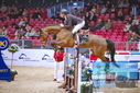Filename=PT9_1728.JPG
Filesize=402KiB
Dimensions=1224x817
Date added=Mar 10, 2023 PT9_1728.JPG