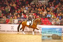 Filename=PT9_1866.JPG
Filesize=482KiB
Dimensions=1224x817
Date added=Mar 10, 2023 PT9_1866.JPG