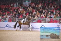 Filename=PT9_1869.JPG
Filesize=483KiB
Dimensions=1224x817
Date added=Mar 10, 2023 PT9_1869.JPG