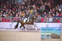 Filename=PT9_1870.JPG
Filesize=451KiB
Dimensions=1224x817
Date added=Mar 10, 2023 PT9_1870.JPG