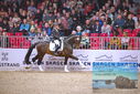 Filename=PT9_1871.JPG
Filesize=462KiB
Dimensions=1224x817
Date added=Mar 10, 2023 PT9_1871.JPG