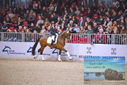 Filename=PT9_1873.JPG
Filesize=422KiB
Dimensions=1224x817
Date added=Mar 10, 2023 PT9_1873.JPG