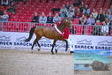 Filename=PT9_2000.JPG
Filesize=474KiB
Dimensions=1224x817
Date added=Mar 10, 2023 PT9_2000.JPG