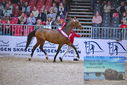 Filename=PT9_2001.JPG
Filesize=477KiB
Dimensions=1224x817
Date added=Mar 10, 2023 PT9_2001.JPG