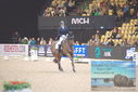 Filename=PT9_2599.JPG
Filesize=445KiB
Dimensions=1224x817
Date added=Mar 11, 2023 PT9_2599.JPG