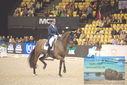 Filename=PT9_2601.JPG
Filesize=439KiB
Dimensions=1224x817
Date added=Mar 11, 2023 PT9_2601.JPG