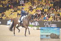 Filename=PT9_2603.JPG
Filesize=489KiB
Dimensions=1224x817
Date added=Mar 11, 2023 PT9_2603.JPG