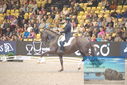 Filename=PT9_2613.JPG
Filesize=432KiB
Dimensions=1224x817
Date added=Mar 11, 2023 PT9_2613.JPG