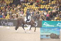 Filename=PT9_2615.JPG
Filesize=520KiB
Dimensions=1224x817
Date added=Mar 11, 2023 PT9_2615.JPG