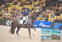 Filename=PT9_2617.JPG
Filesize=495KiB
Dimensions=1224x817
Date added=Mar 11, 2023 PT9_2617.JPG