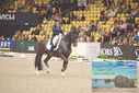 Filename=PT9_2622.JPG
Filesize=482KiB
Dimensions=1224x817
Date added=Mar 11, 2023 PT9_2622.JPG