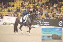Filename=PT9_2623.JPG
Filesize=486KiB
Dimensions=1224x817
Date added=Mar 11, 2023 PT9_2623.JPG