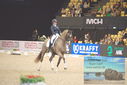Filename=PT9_2626.JPG
Filesize=402KiB
Dimensions=1224x817
Date added=Mar 11, 2023 PT9_2626.JPG