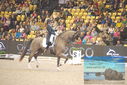 Filename=PT9_2634.JPG
Filesize=534KiB
Dimensions=1224x817
Date added=Mar 11, 2023 PT9_2634.JPG