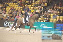 Filename=PT9_2635.JPG
Filesize=519KiB
Dimensions=1224x817
Date added=Mar 11, 2023 PT9_2635.JPG