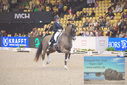 Filename=PT9_2638.JPG
Filesize=476KiB
Dimensions=1224x817
Date added=Mar 11, 2023 PT9_2638.JPG