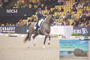 Filename=PT9_2639.JPG
Filesize=463KiB
Dimensions=1224x817
Date added=Mar 11, 2023 PT9_2639.JPG