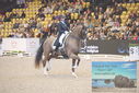 Filename=PT9_2640.JPG
Filesize=485KiB
Dimensions=1224x817
Date added=Mar 11, 2023 PT9_2640.JPG